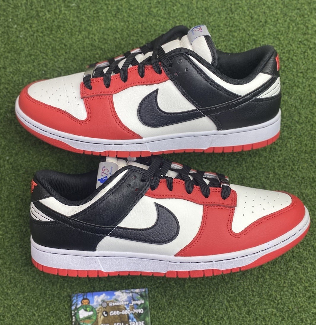 Size 10 – Nike Dunk Low Retro EMB 75th Anniversary Chicago Bulls DD3363-100