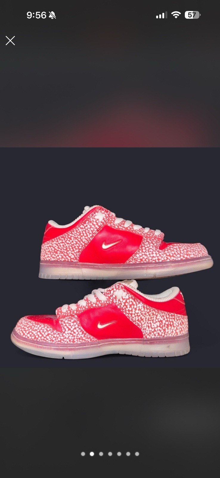 Nike Stingwater x Dunk SB Low Magic Mushroom Speckled Red/White DH7650-600
