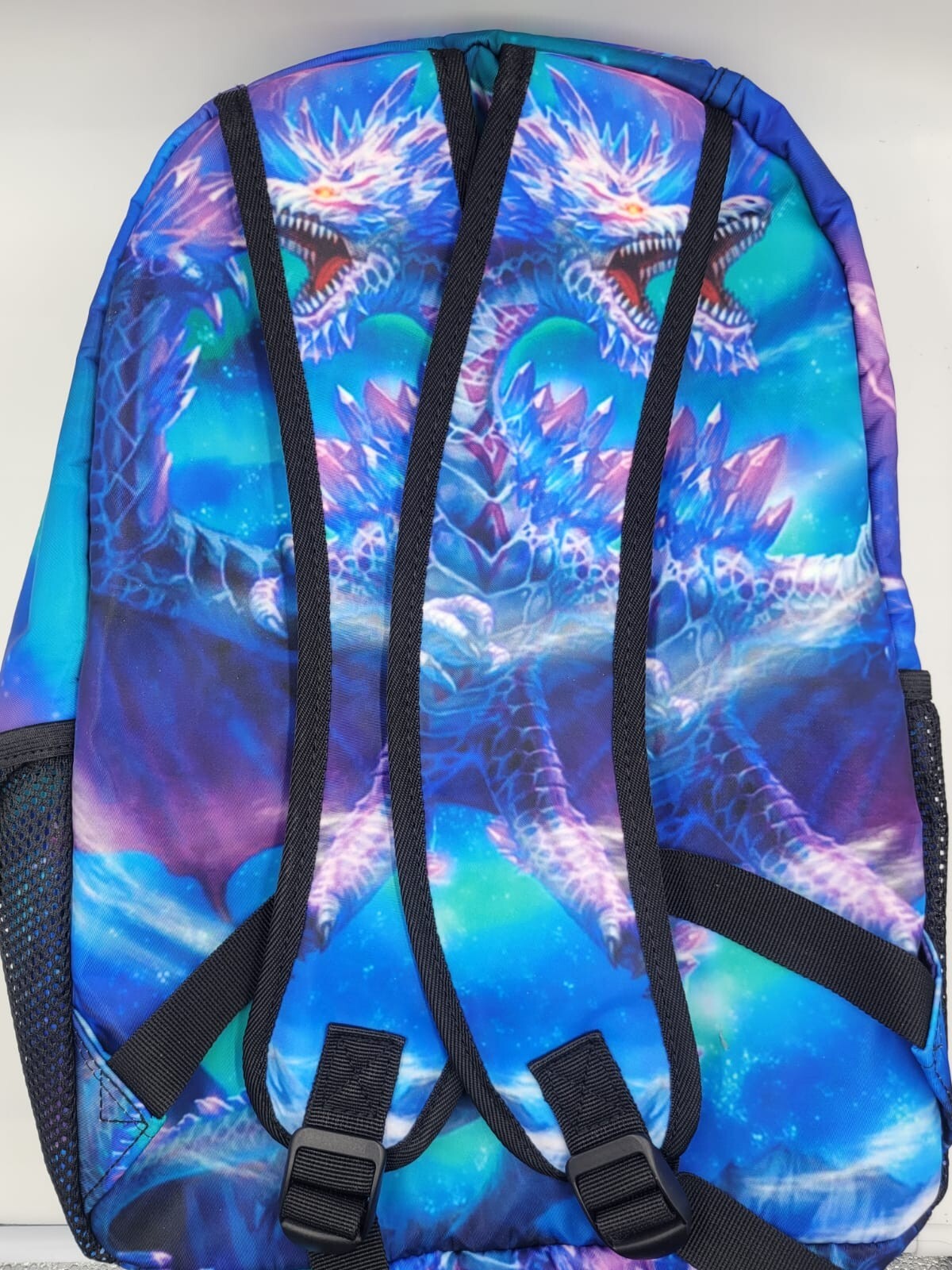 Dragon Print School Bag Backpack, Schoolbag Mesh Pouch 17×11″ byc6