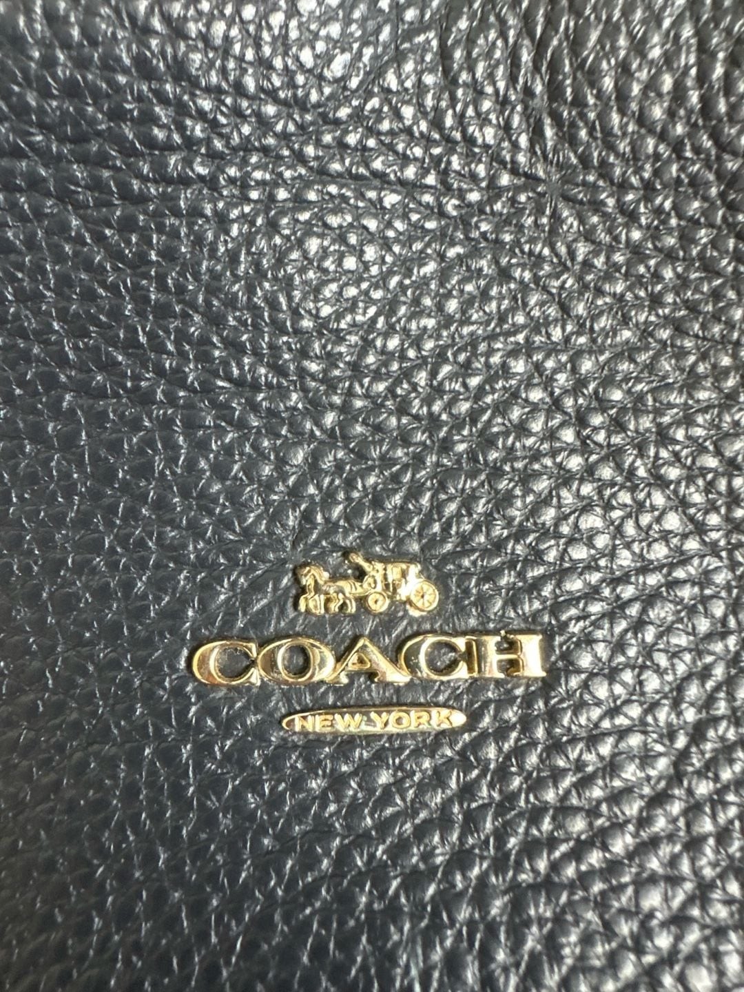 Coach Charlie Large Backpack in Black Pebbled Leather F29004