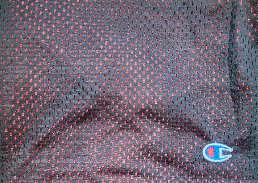 Champion Long Mesh Men’s Short with 2 Pockets 9 inch Inseam With Drawstring