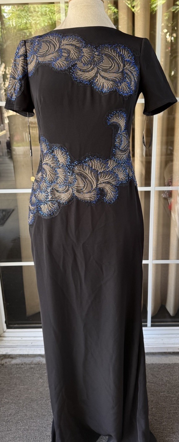 NWT Tadashi Shoji Crystal Lace Applique Side Panel Gown 4