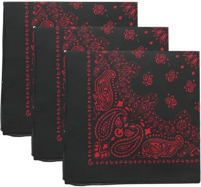 Trainmen Paisley Bandanas Head Scarf Do-rag 100% Cotton Bandanna 22″ x 22″ 3Pack