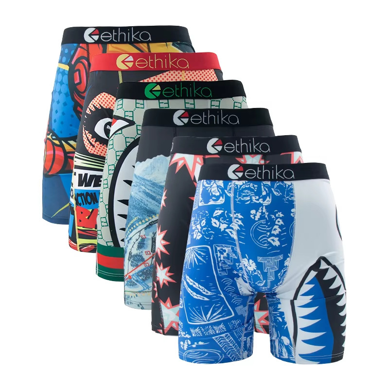 ETHIKA 6-Pack Men’s Breathable Boxer Shorts Swimming Underwear Plus Size