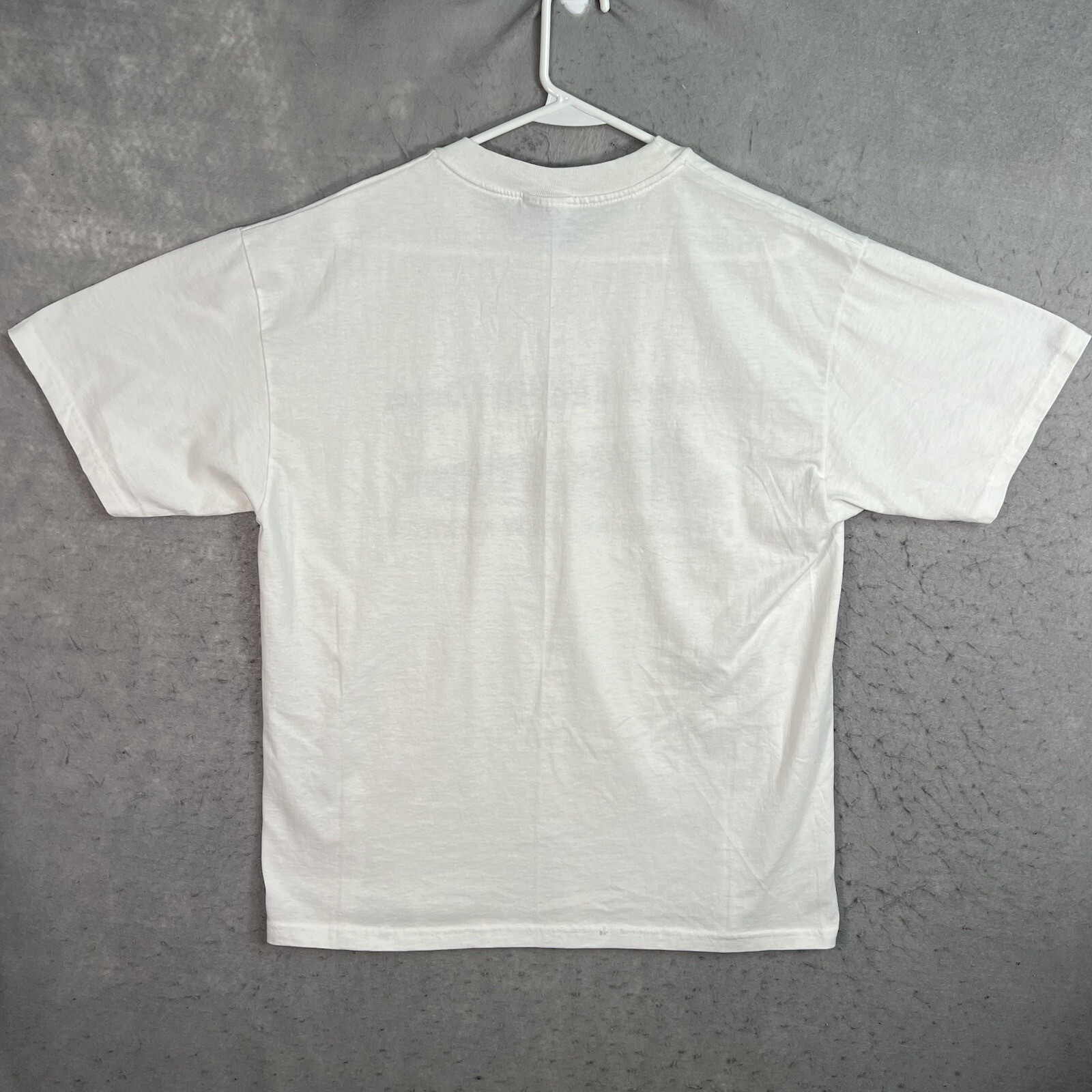 Vintage 90s Southern Pacific Railroad Sunset Limited Days Train T Shirt Adult Lg
