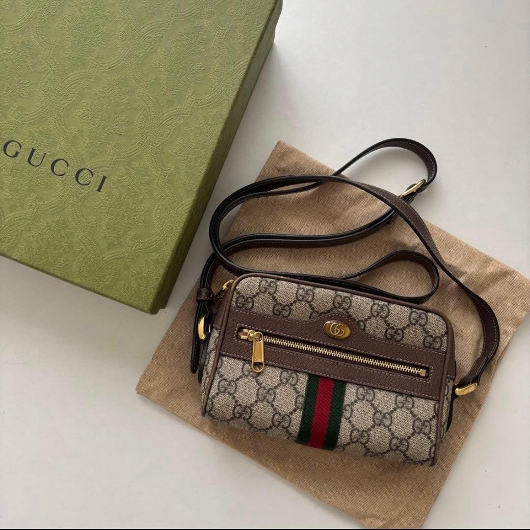 GUCCI Minnie Shoulder Bag Ophidia Gift Present 0620b