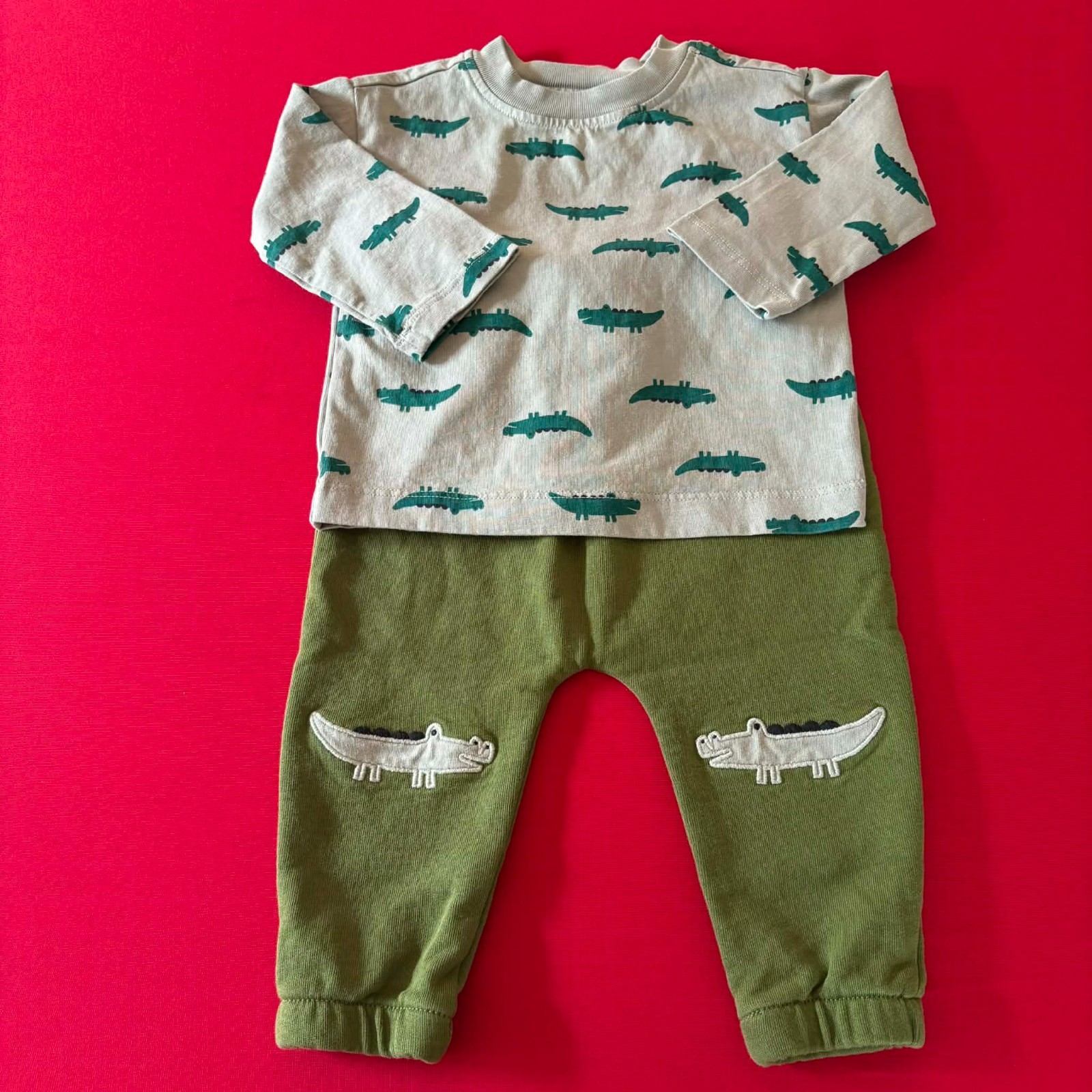 Hanna Andersson T-Shirt & French Terry Sweatpants Set. Size 12-18 Months, 75 cm