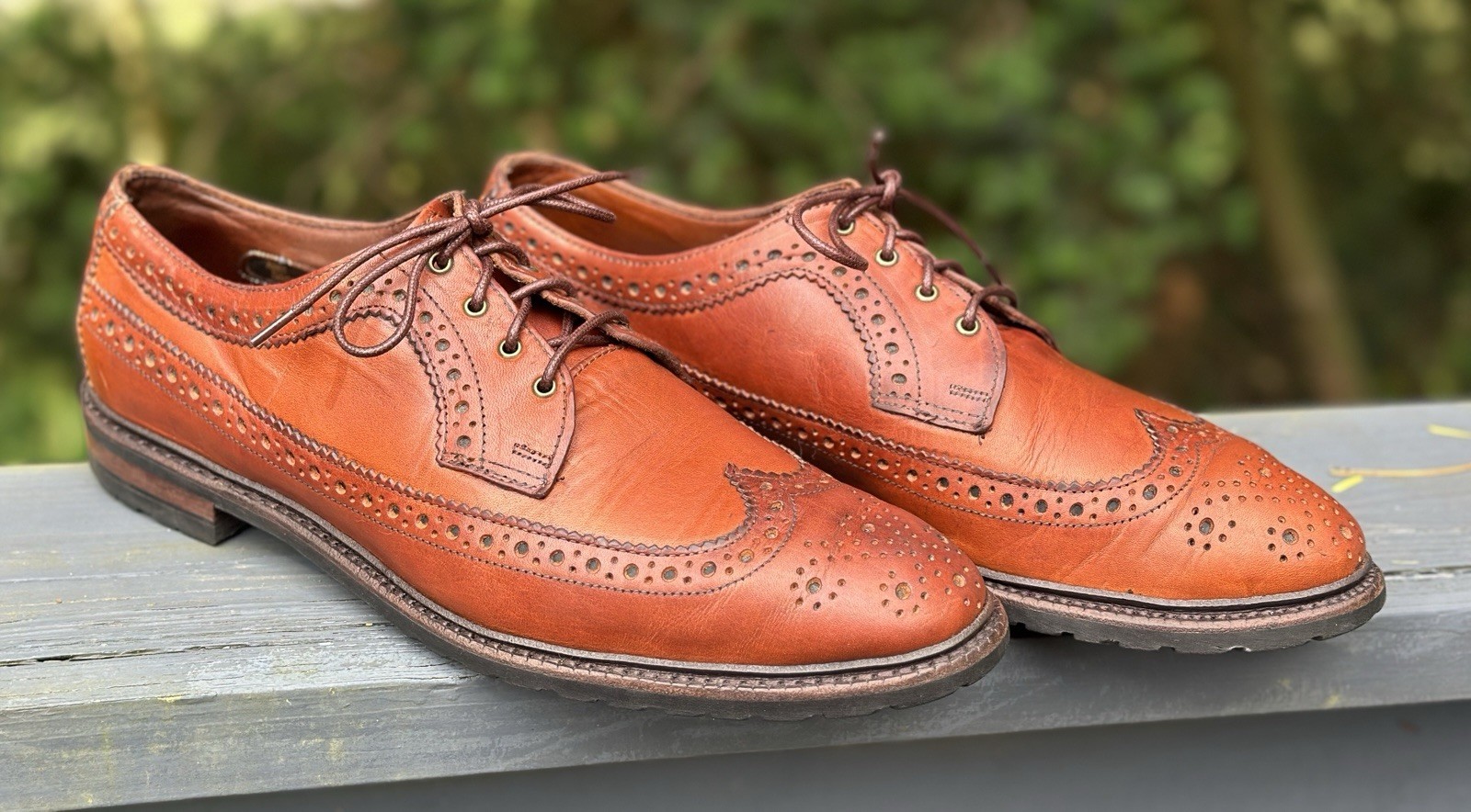 Allen Edmonds Aberdeen Brown Leather Wingtip Brogue Longwing Oxford 10.5D