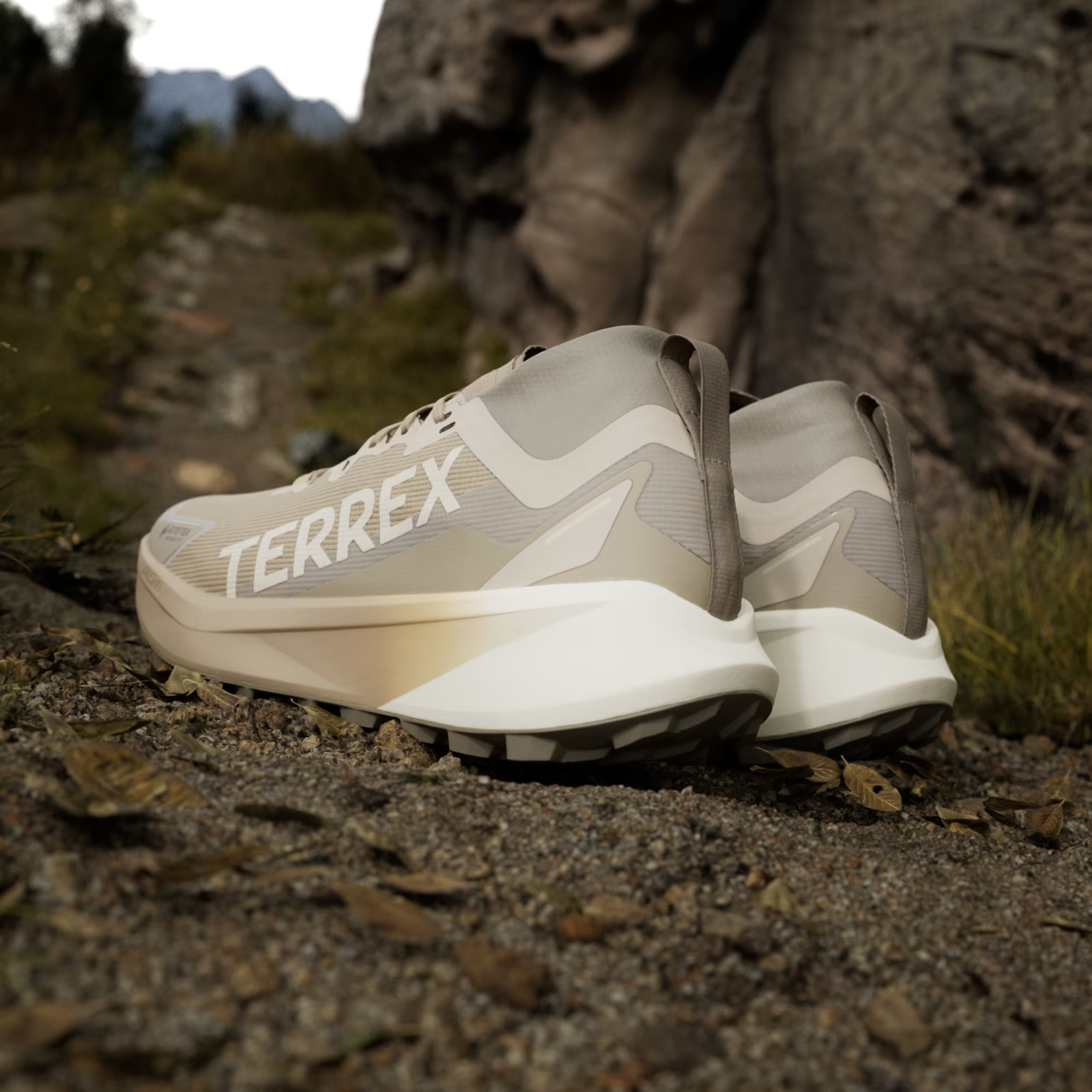 adidas TERREX AGRAVIC GTX TRAIL RUNNING JR1507 Blanch Cargo / Alumina / Beige