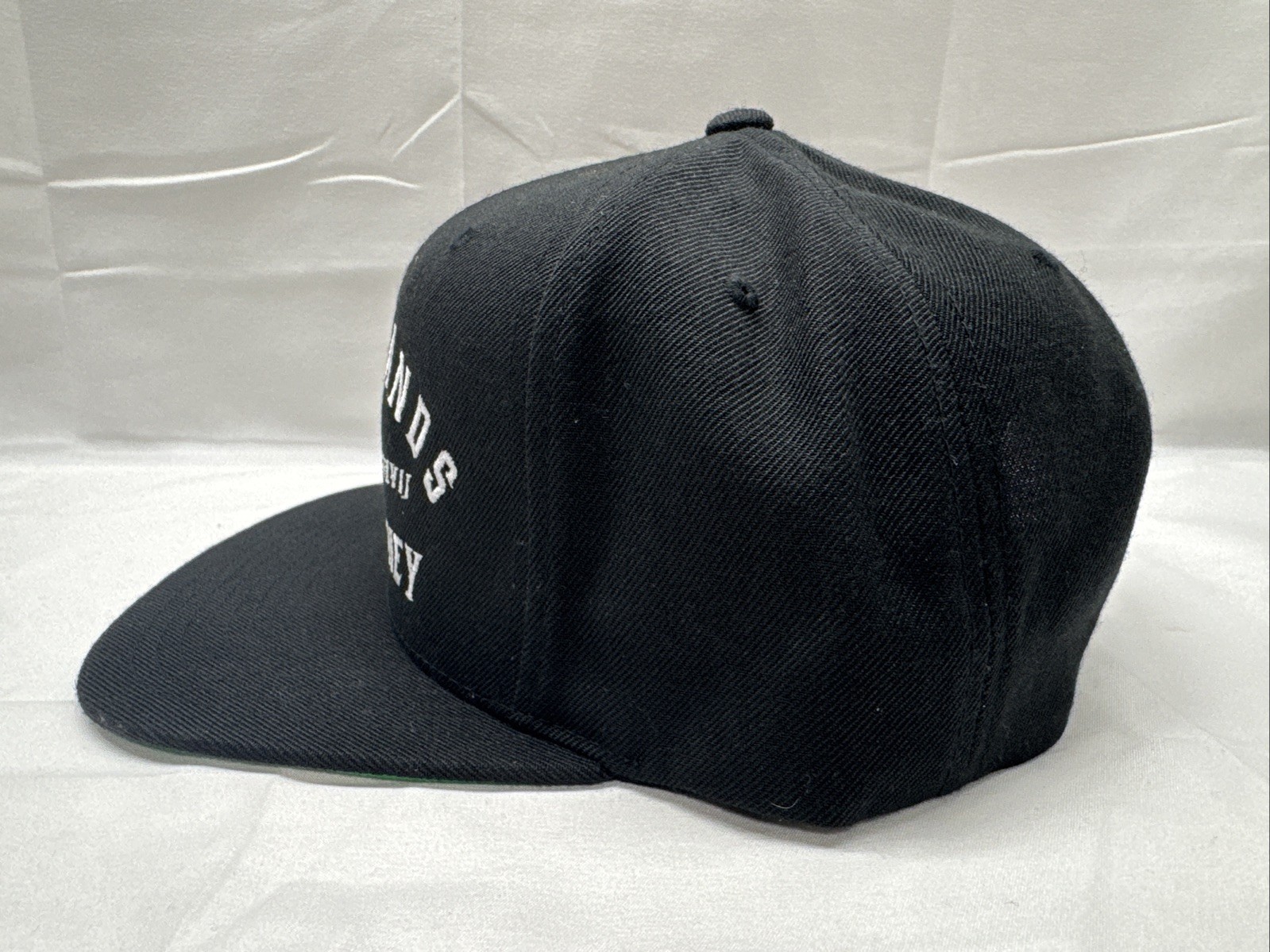 Troll Co ‘Dirty Hands Clean Money’ Snapback Hat Trucker Ball Cap NEW