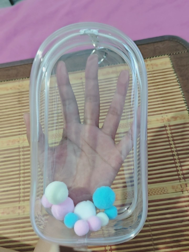 Suitable for 19cm plush toys Transparent Protective Display Pouch Keychain Hot！