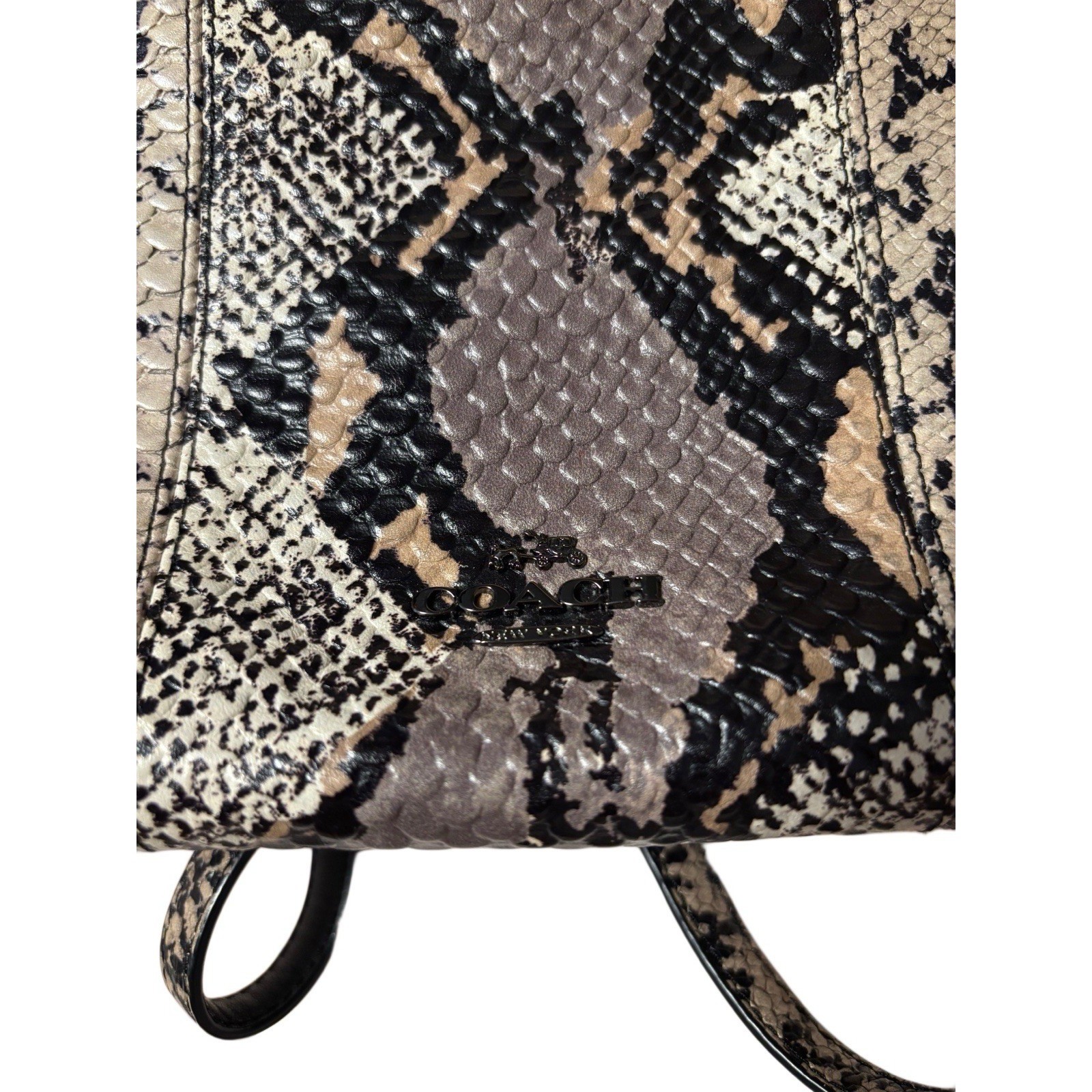 Coach Exotic Embossed Leather Crosby Crossbody Shoulder Bag 37172, Double Zipper