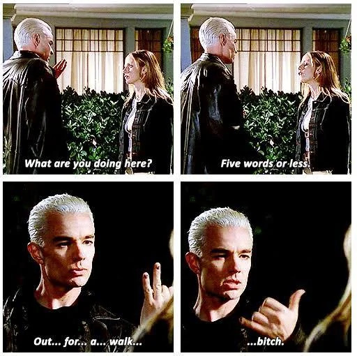 Out For A Walk Bitch T-Shirt ♡ Spike! Buffy the Vampire Slayer ✩ 90s Spuffy TV!