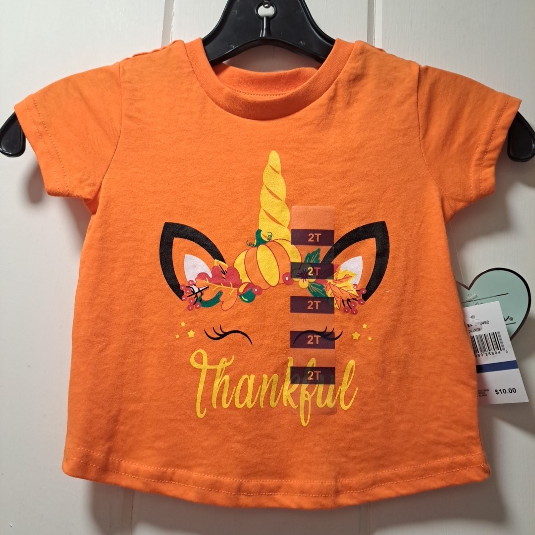 ADTN Childs 2T Orange Halloween Thanksgiving Tshirt Short Sleeve Turkey Disguise