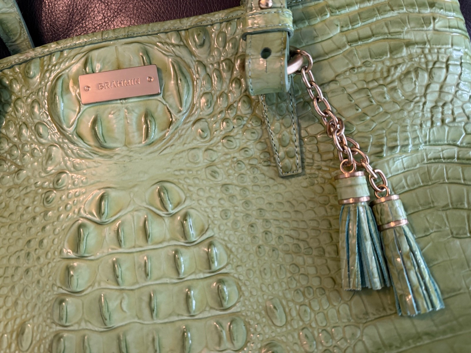 Brahmin Medium Asher Tote in Postacchio Croc Embossed Leather Shoulder Bag