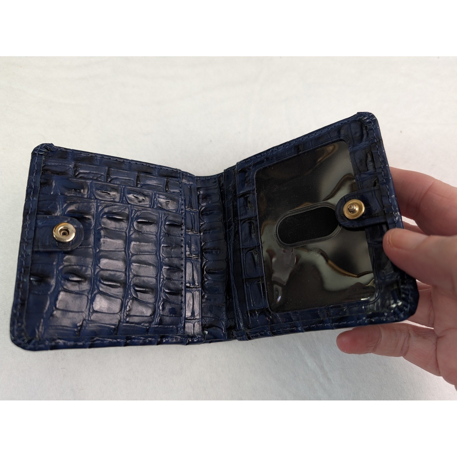 Brahmin Cynthia Leontyne Small Embossed Leather Bag and Jane Mini Wallet
