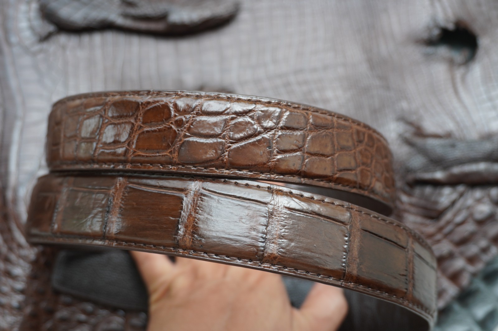 W 1.3 inch – Brown Genuine Crocodile Belly Leather Skin Men’s Belt #Q16