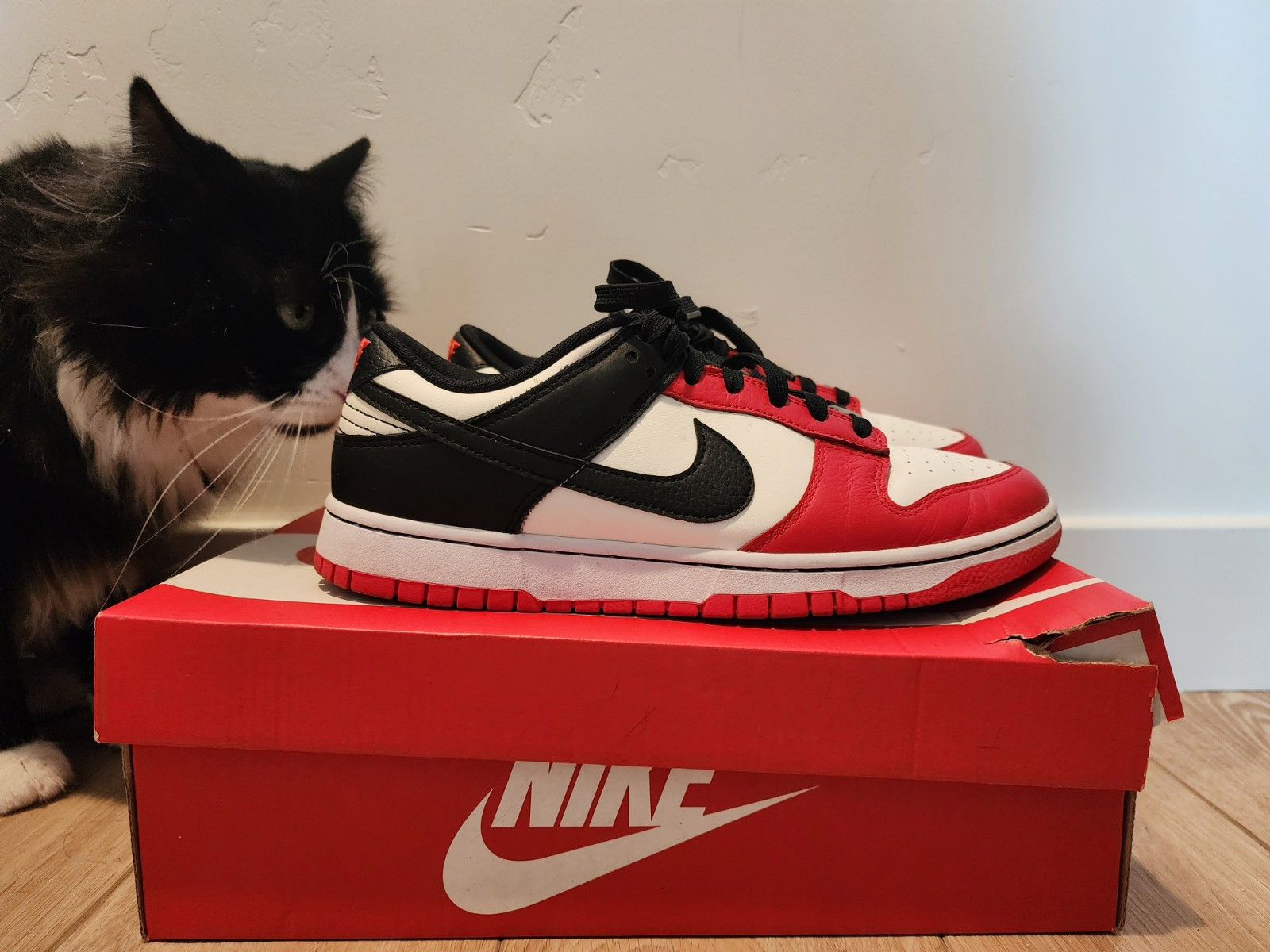 NBA 30th Anniversary Chicago Dunks Size 10
