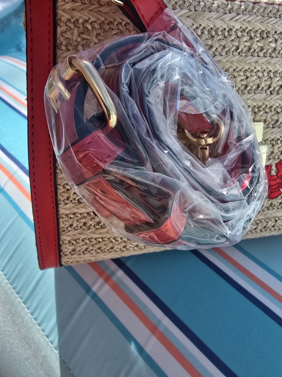 Lobster Crossbody Bag lobster charm detachable strap BCBGENERATION NEW