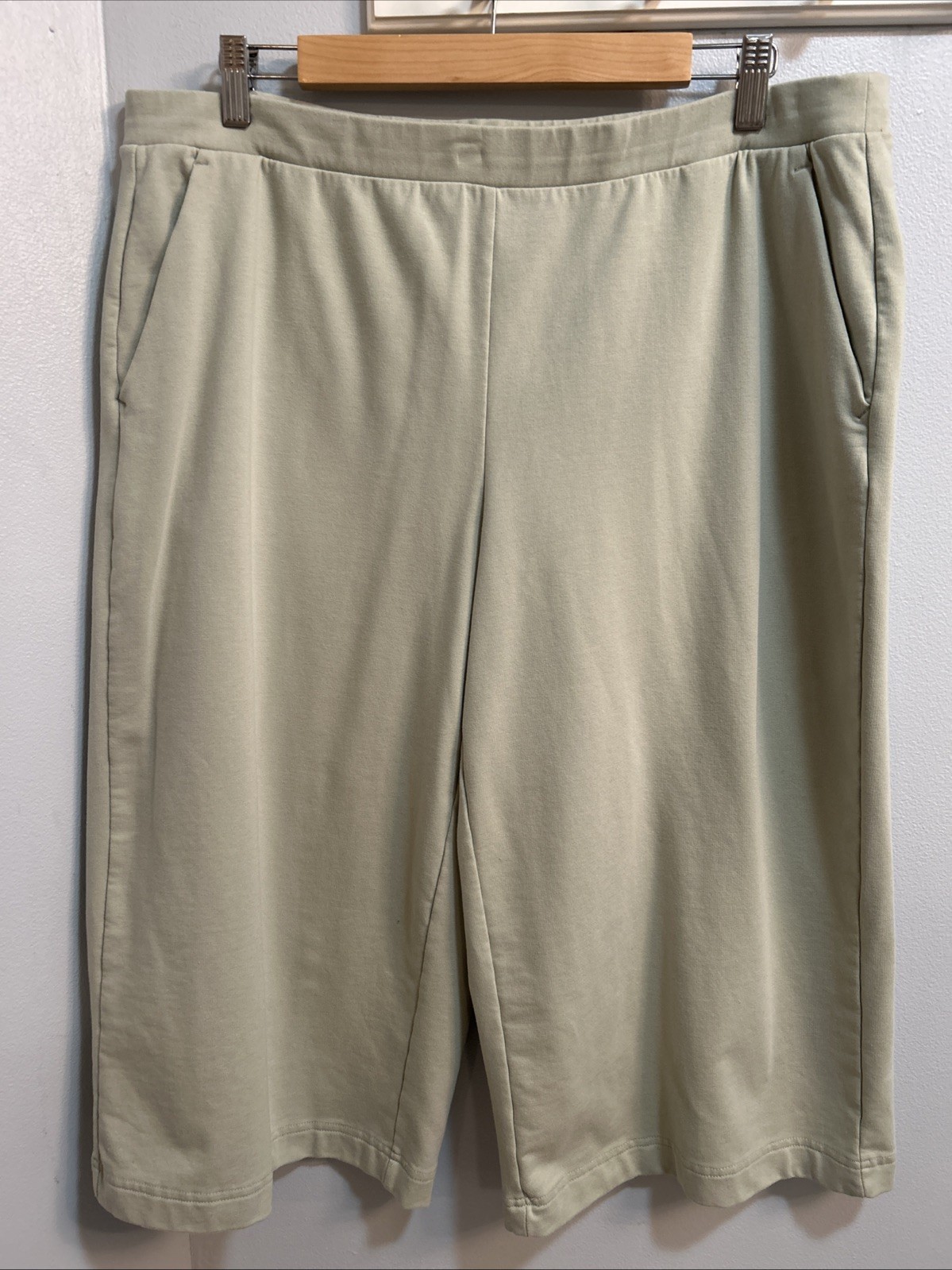 French Terry Wide Leg Crop Pant PL Sage Light Green Encore By Idina Menzel EUC