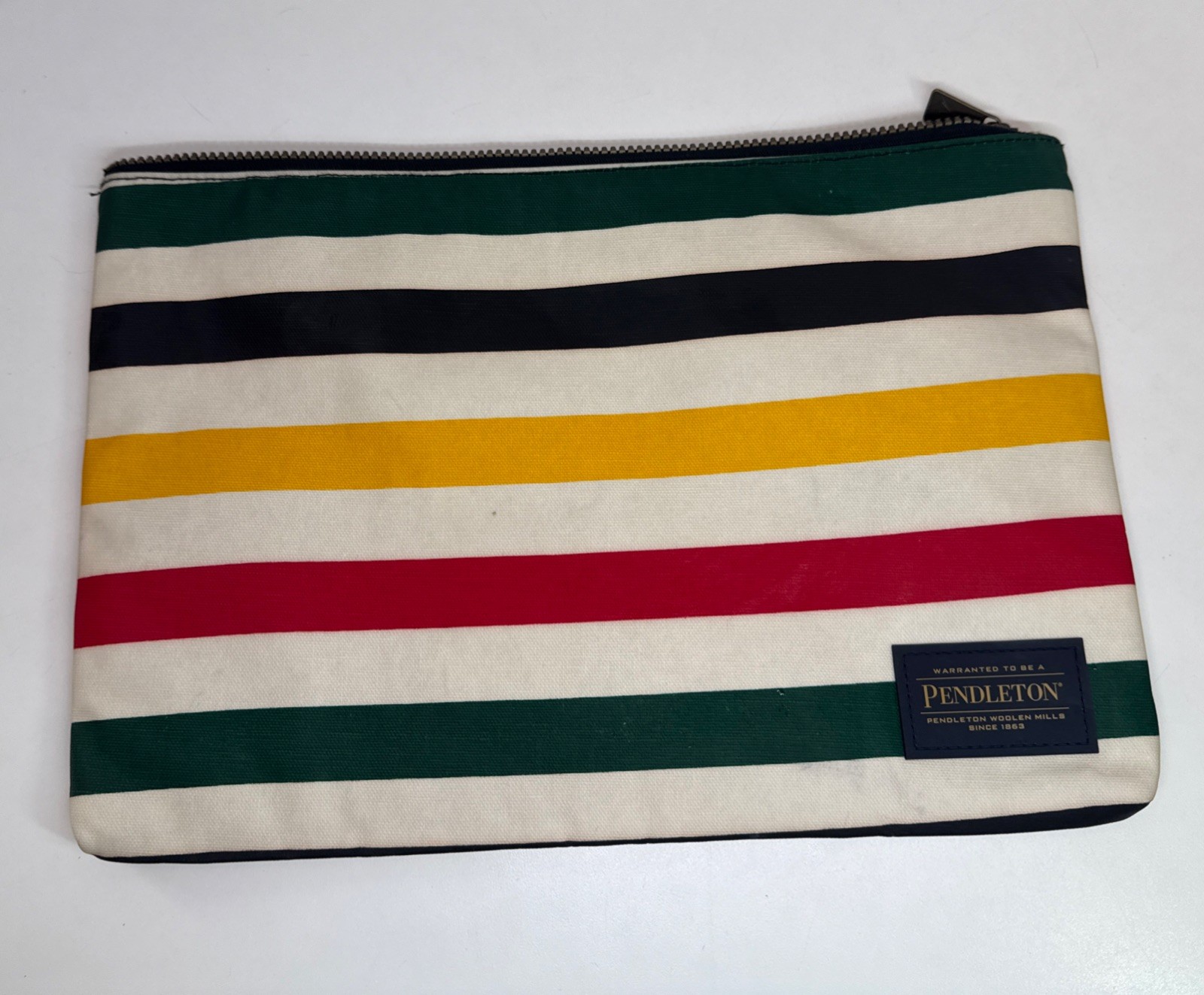 Pendleton Glacier Canopy Canvas Big Zip Pouch Poly Covered Canvas