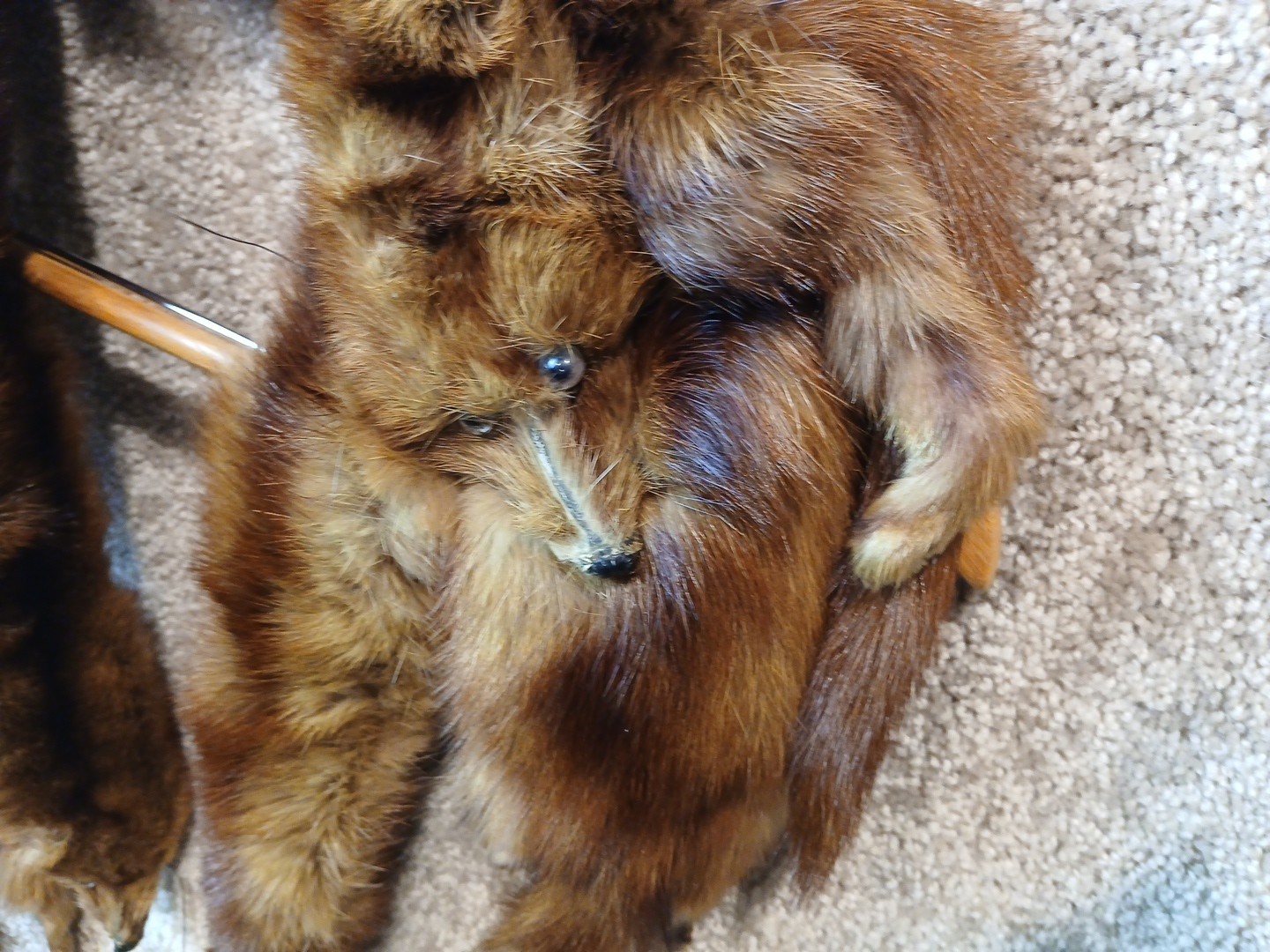 KOLINSKY 5 Pelts Boa, 40” Inches, Vintage Russian Fur Pelt Scarf