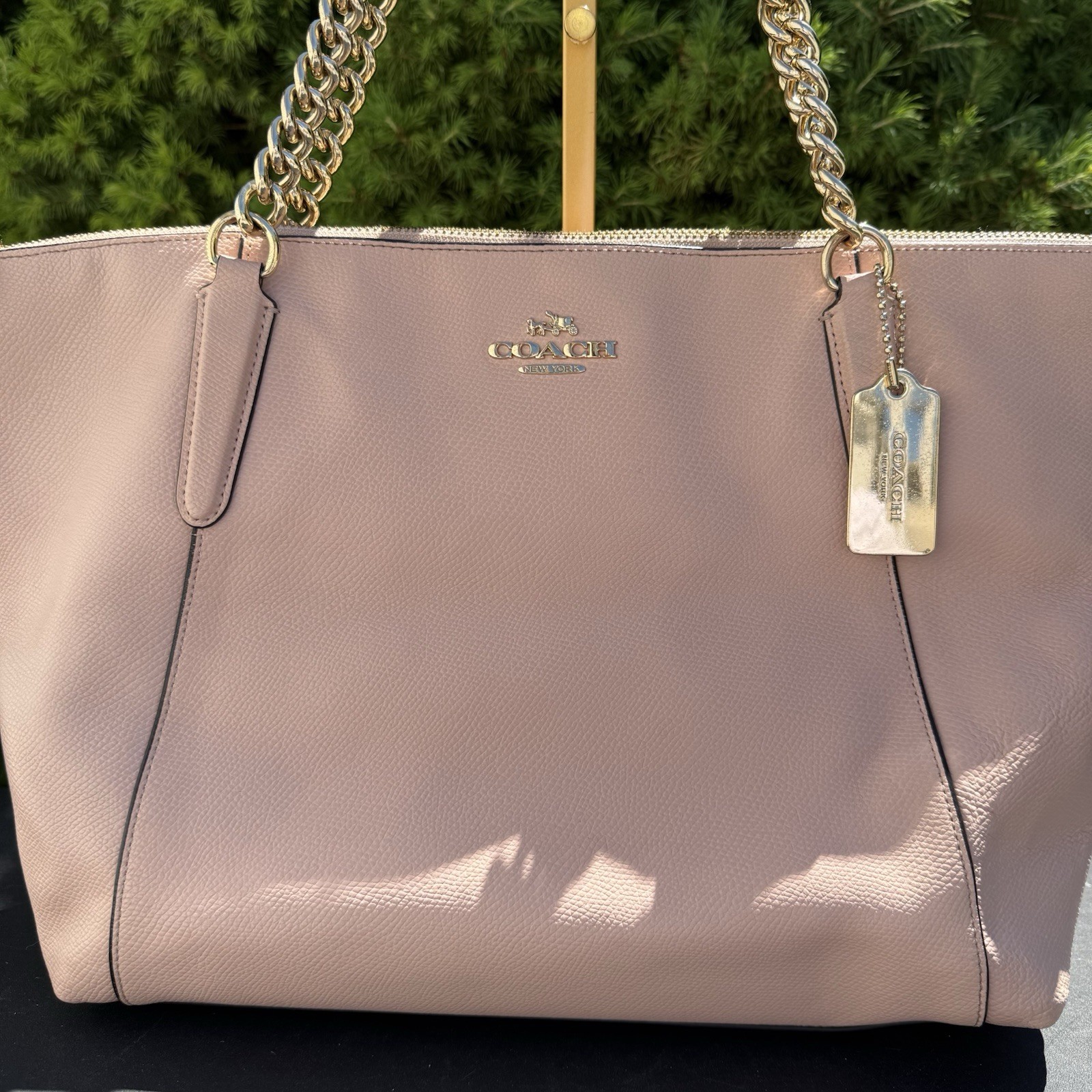 Coach Ava Chain Tote Handbag Pink Pebbled Leather