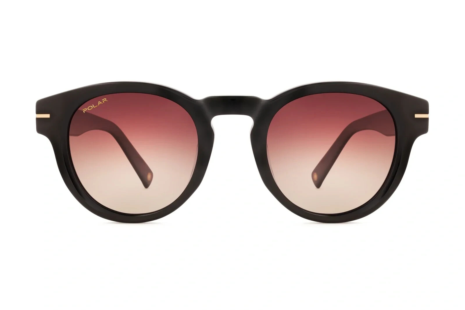 Polar Gold Sunglasses 199 Shiny Black (77R) Smoke Brown Polarized Cal. 51