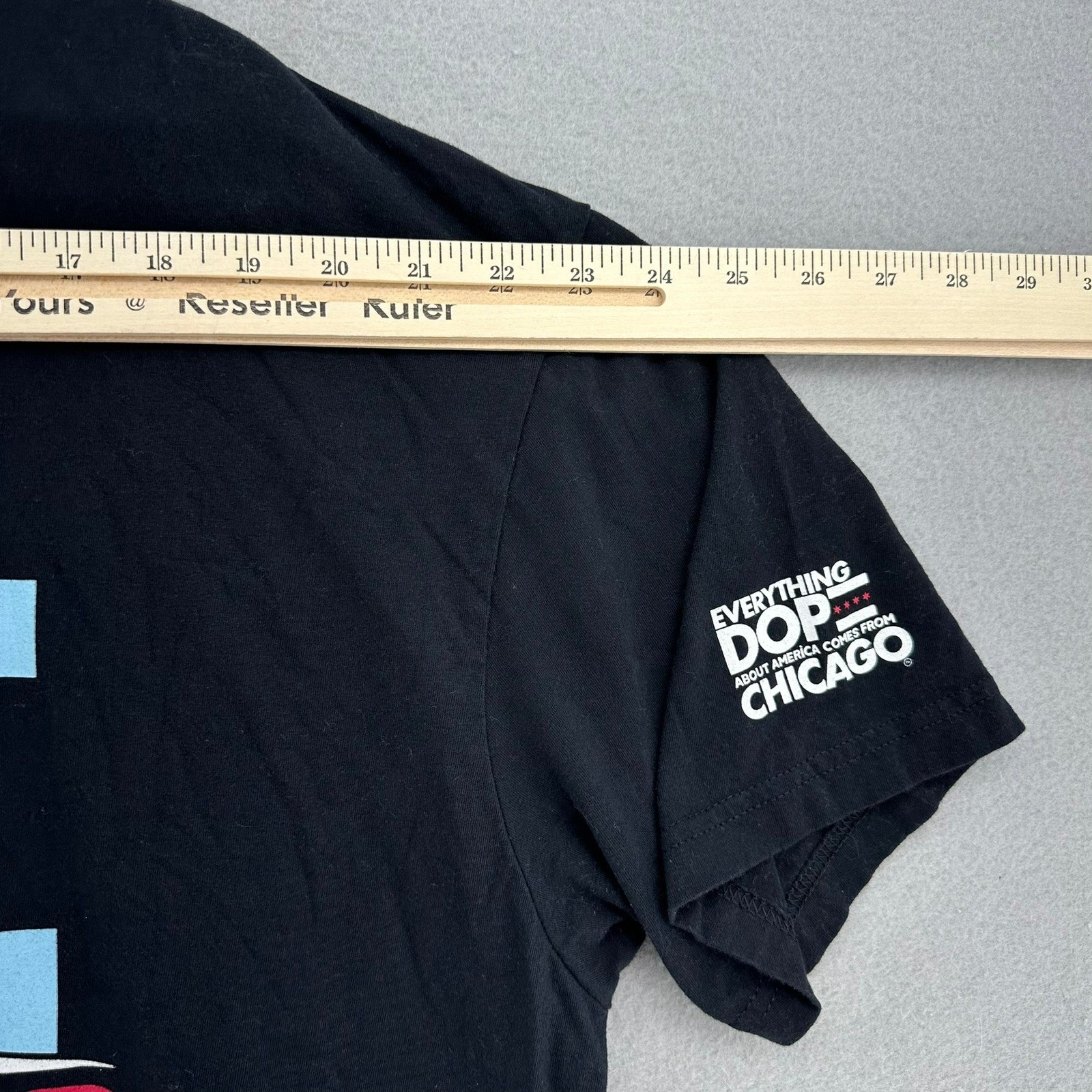 Chicago Mahogany Tours The Second City Is 2nd To None T Shirt 2XL USA Baggy DOP