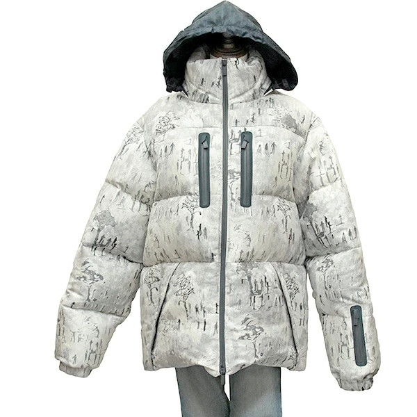 Auth DIOR Puffer jacket Peter Doig White Gray Outer Ski wear Men